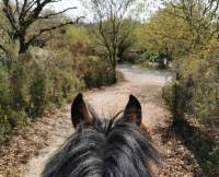 Le poney club